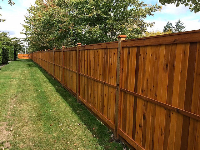 4 Benefits Of A Cedar Fence